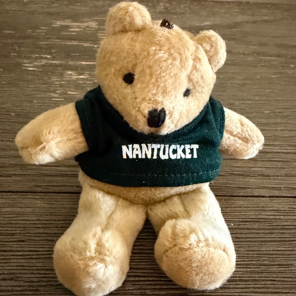 Small Nantucket Souvenir Teddy Bear Plush